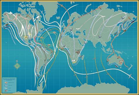 Lesson 22- Animal Migration Map Bird Migration Map, Australia Crafts ...