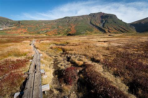 Best Daisetsuzan National Park Stock Photos, Pictures & Royalty-Free Images - iStock