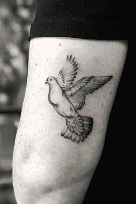 Pigeon Tattoo Design Images (Pigeon Ink Design Ideas) Pigeon Tattoo ...