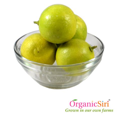 Organic Lemon 4pc - OrganicSiri Farms