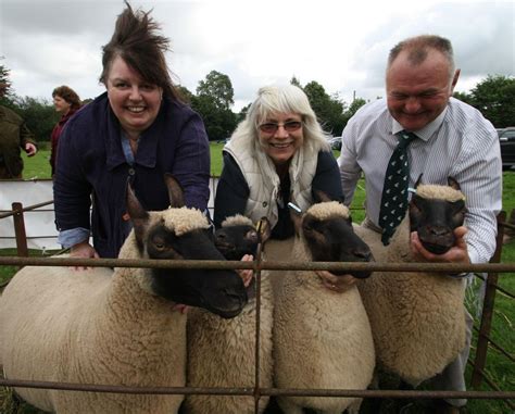 Day for Clun sheep breed will return | Shropshire Star