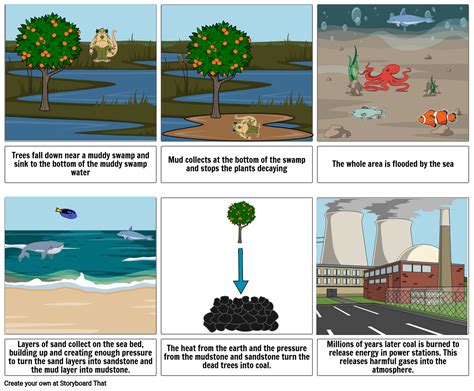 Coal Formation Animation