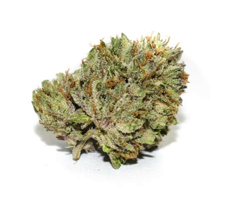 Berry White Strain Review - The Lodge Cannabis Denver