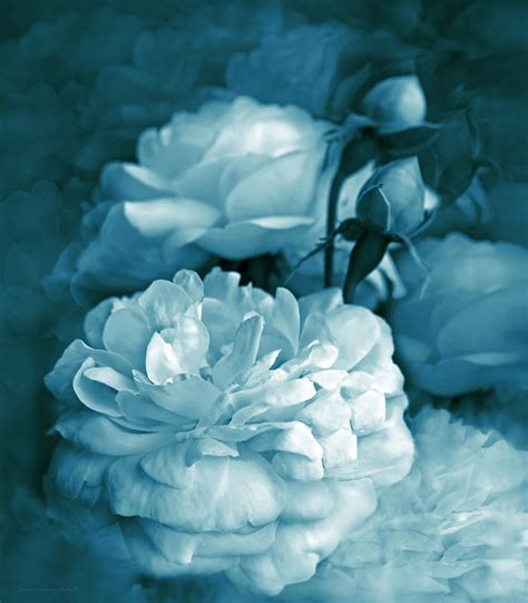 Teal Blue Roses Bouquet Photograph by Jennie Marie Schell