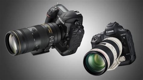 Best telephoto lens: top lenses for Canon and Nikon DSLRs | TechRadar