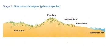 Interactions within the Biophysical Environment