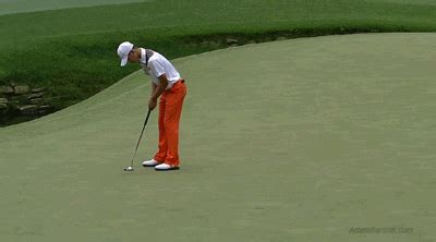 Tiger Woods Round GIF - Find & Share on GIPHY