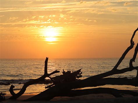 Driftwood Beach Sunrise Photograph by Kimberly Morrison | Fine Art America