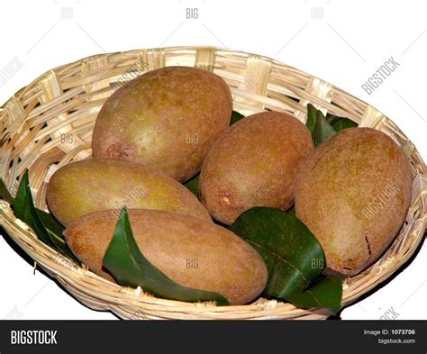 Sapota Fruit Image & Photo (Free Trial) | Bigstock