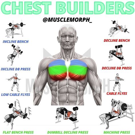 Build A Colossal Chest With This 3 Exercise Workout That Takes Under 10 Minutes To Do ...