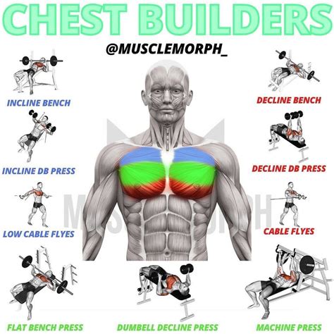 Build A Colossal Chest With This 3 Exercise Workout That Takes Under 10 Minutes To Do ...