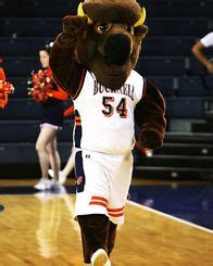 Bucknell Bison mascot, Bucky Bison. | Patriot league, Mascot, Ncaa basketball