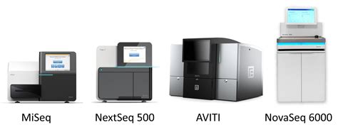 Short-Read Sequencing Services – Illumina & Element Bio AVITI | DNA ...