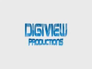 Digiview Entertainment - Audiovisual Identity Database