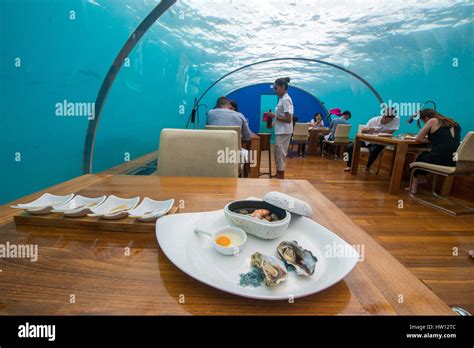 Maldives, Rangali Island. Conrad Hilton Resort. Ithaa, underwater ...