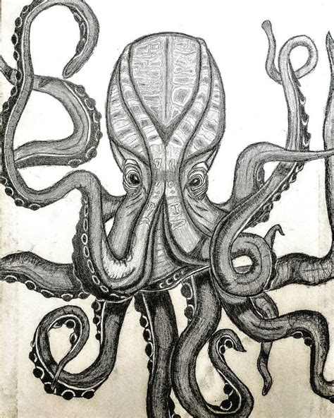 Octopus Drawing by Hexigon Knight | Saatchi Art