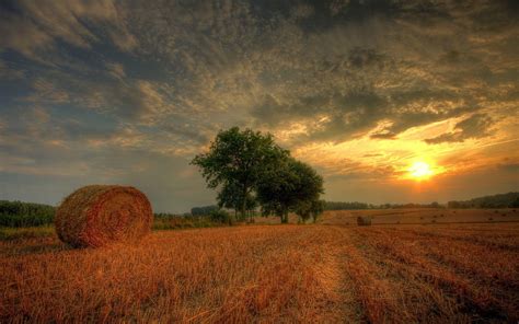 Hay Field Wallpapers - Top Free Hay Field Backgrounds - WallpaperAccess