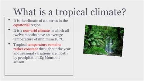 PPT - Tropical Climate PowerPoint Presentation - ID:2945753