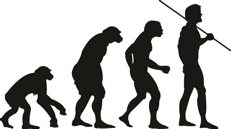 Human Evolution? | Bryan Wright | Flickr