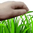 touchgrass - Discord Emoji