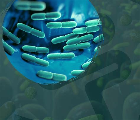 Microbiota e Integridad de la barrera intestinal