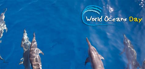 Healthy Oceans, Healthy Planet: Happy World Oceans Day!