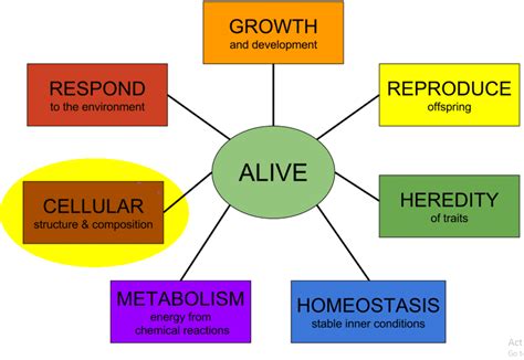 🔥 Eight characteristics of all living things. What are the 8 ...