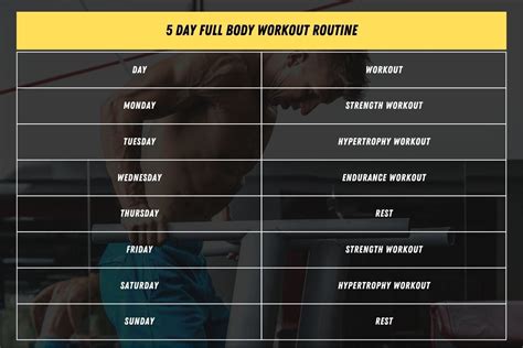 The 5 Day Full Body Workout Routine with PDF