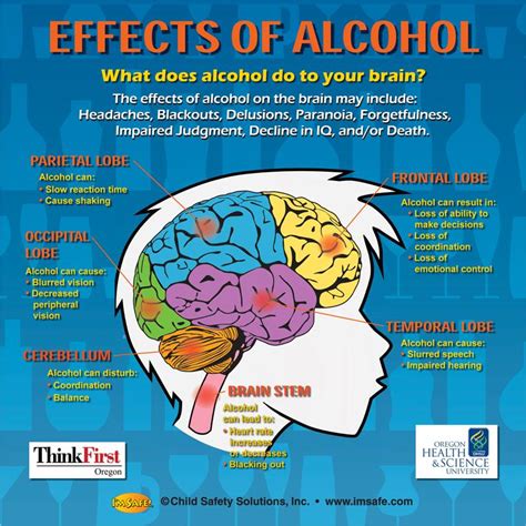 10-4892 The Effects of Alcohol on the Brain Tabletop Display | I'm Safe