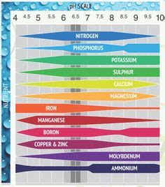 ph nutrient uptake chart - Google Search | Hydroponic nutrient solution, Healthy garden soil ...