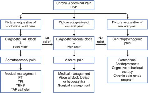 Chronic Abdominal Wall Pain: Diagnosis and Interventional Treatment ...