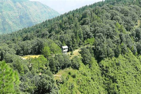 Chail Tourism – Chail Tourist Places & Top Things to Do | Himachal