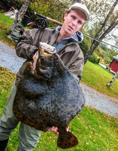 Largest freshwater fish ever caught - centurysilope