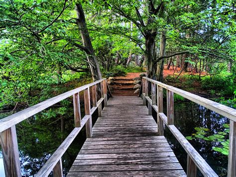 Wooden bridge over small creek Photograph by Lilia D | Pixels