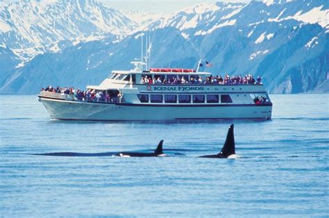 National Park Tour with Fox Island 2024 - Seward