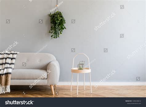 Scandinavian Home Interior Grey Design Sofa Stock Photo 1296538612 ...