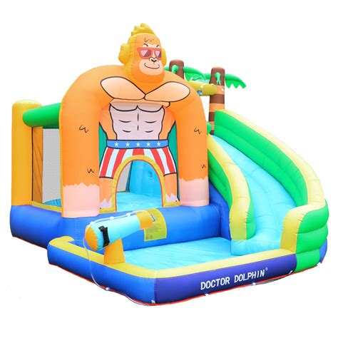 Buy Doctor Dolphin Inflatable Water Slide for Kids Water Park Bounce House with Splash Pool ...