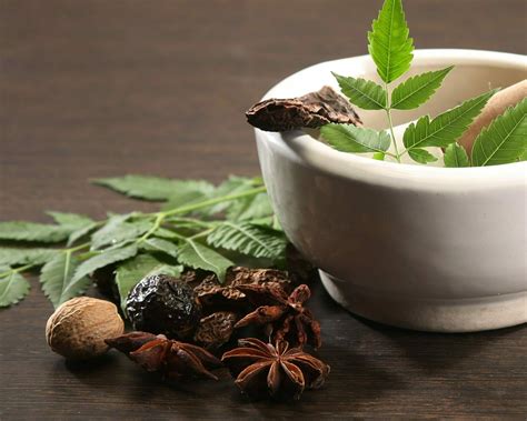 Ayurvedic Herbs that Prevent and Treat Drug Resistant Bacteria - Ayurved Sadhana