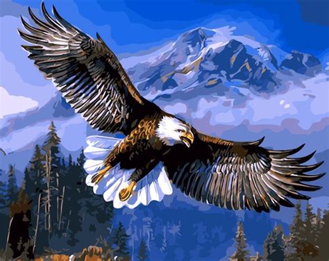 HQ soaring eagle birds DIY Painting By Numbers Hand Painted Acrylic ...