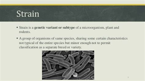 Microbial strain selection..