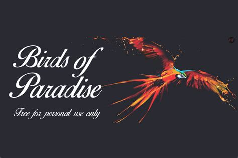 Download Birds of Paradise Font for free | Font Style