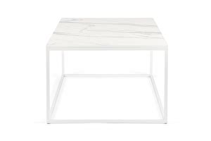 Forest white marble coffee table long