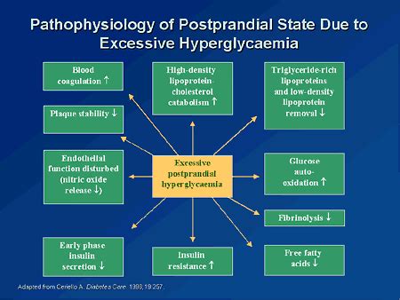 Getting to Goal in Type 2 Diabetes: Role of Postprandial Glycemic Control