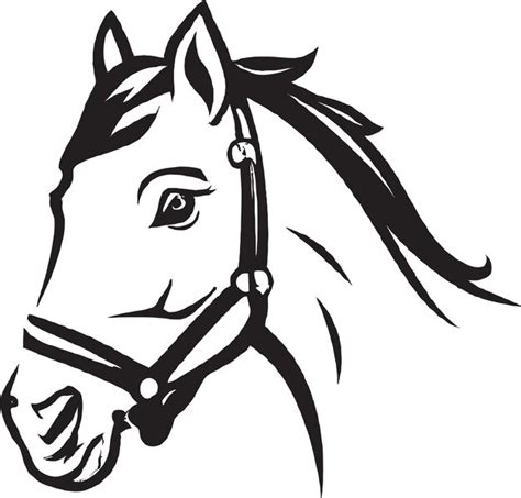 Premium Vector | Clydesdale horse icon design vector graphic