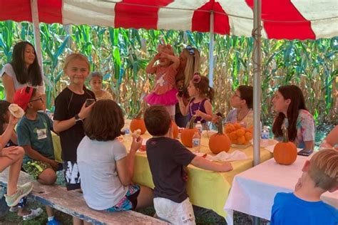 Host A Fall Event In The Corn | Colony Acres Family Farm