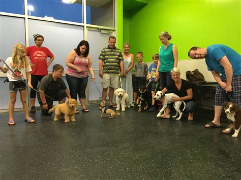 The First Dog Gone Problems Puppy Socialization Class: Dog Gone Problems