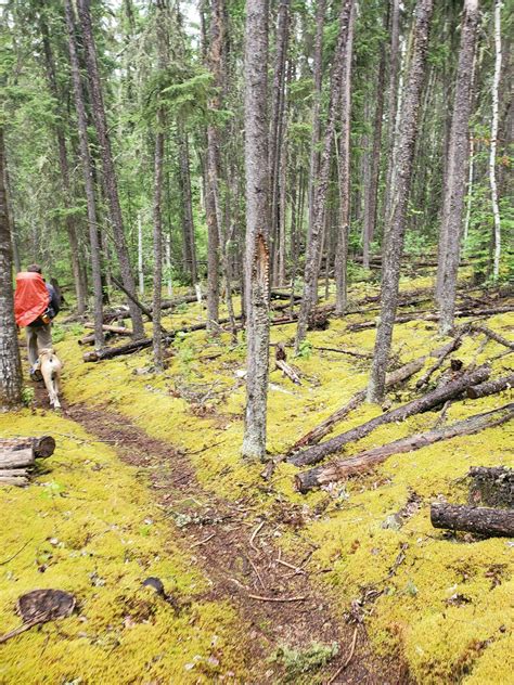 Nut Point Trail - Saskatchewan, Canada | AllTrails