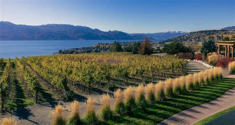 12 Best Kelowna Wineries - BestEver.Guide