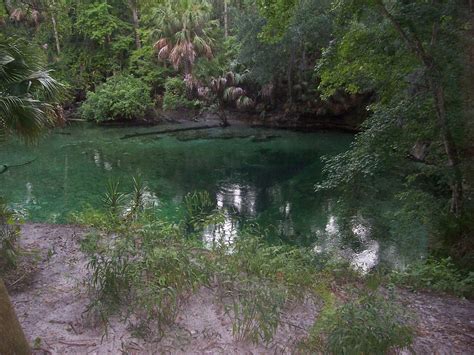 Blue Spring State Park (Volusia County, FL) | Headspring | Paul Clark | Flickr