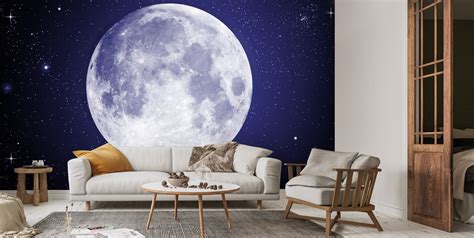 Stars and Moon Wallpaper | Wallsauce US